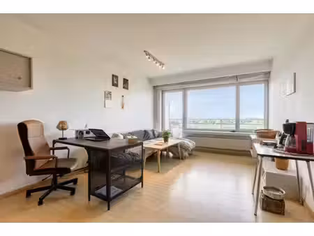 dewaele real estate nv