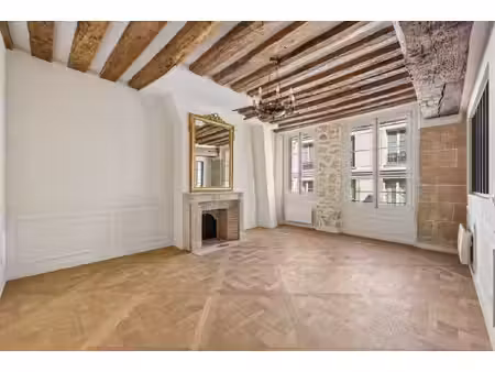 appartement de luxe à vendre dans le quartier île saint louis