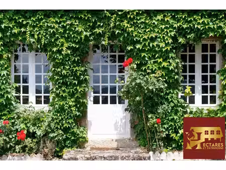 maison de luxe à vendre à saint-symphorien-de-marmagne