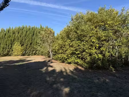 orleans-limite olivet - terrain arboré de 1417m2-