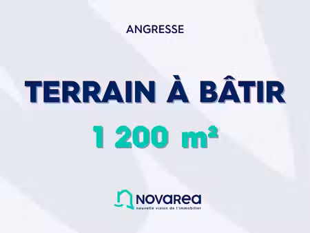 terrain viabilise