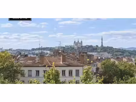 appartement avec terrasse les brotteaux-bellecombe-masséna - lyon 6ᵉ (69)