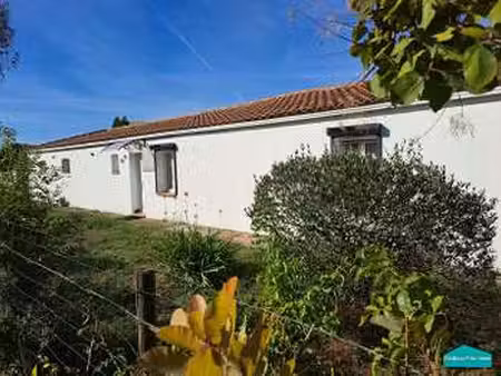 vente maison à bois-de-céné (85710) : à vendre / 100m² bois-de-céné