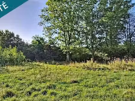 vente terrain à nozay (44170) : à vendre / 534m² nozay