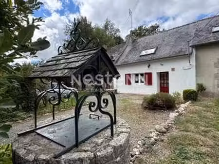 vente maison à naizin (56500) : à vendre / 60m² naizin