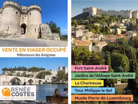 viager occupé - f83 ans - villeneuve les avignon (30400)