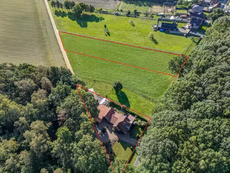 vangronsveld & somers  thuis in ontwikkeling