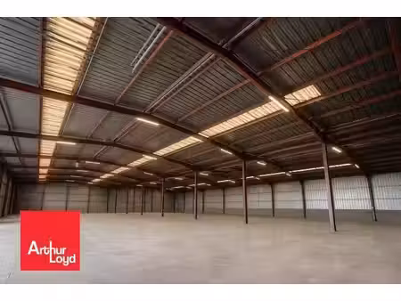 vente entrepôt luce 28110 7800m²