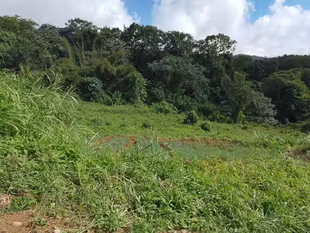 terrain à vendre saint claude (971) 49000 euros