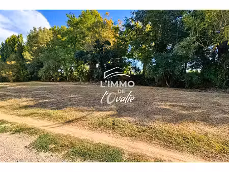 terrain saint jory 1300 m2
