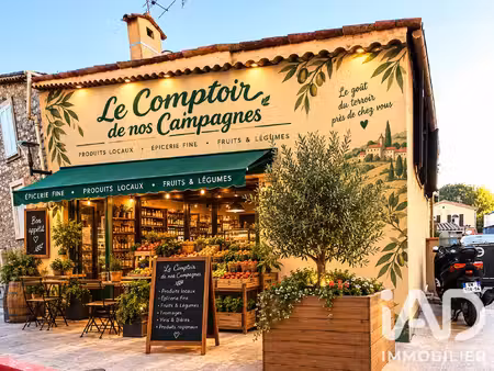 vente commerce 47 m² peymeinade (06530)