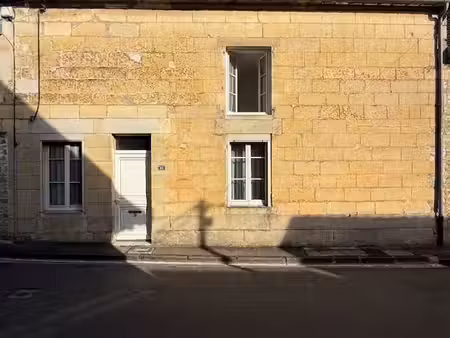 maison ancienne en pierre proche jonchery sur vesle avec appartement individuel  jardin  g