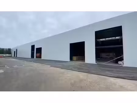 gerenoveerd magazijn te huur aan a12 in wilrijk