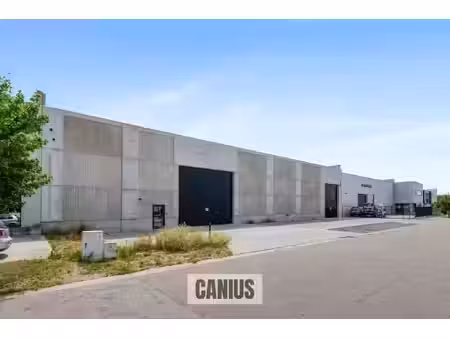 modern en energiezuinig met canius