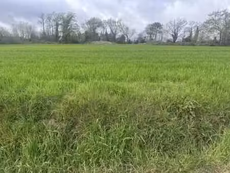 vente terrain à sainte-hélène (56700) : à vendre / sainte-hélène
