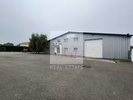 location local d’activités mions 69780 1190m²