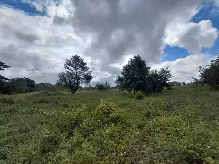 limeyrat : terrain 4800 m2 à acheter avec neto-immo