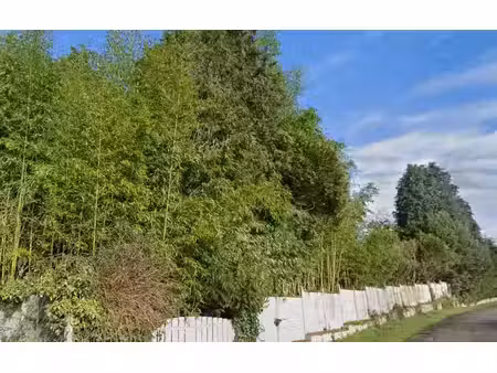 terrain - 7724 m²