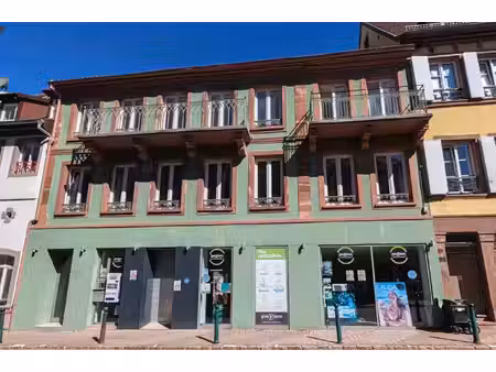 achat local commercial 164m² wasselonne 67310
