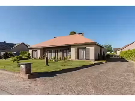 ruime energiezuinige gezinswoning met polyvalente ruimte op toplocatie in kaulille