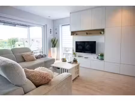 huis te koop in wambeek met 3 slaapkamers