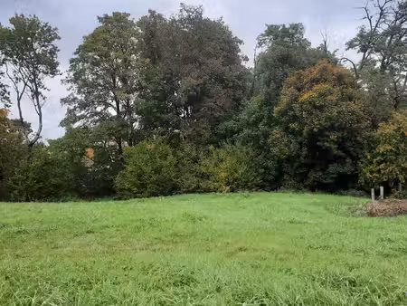 terrain libre constructeur chatillon le duc