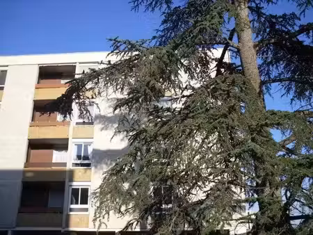 location appartement 3 pièces 77 m² à toulouse (31400)