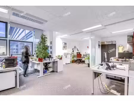 location local professionnel 350m²