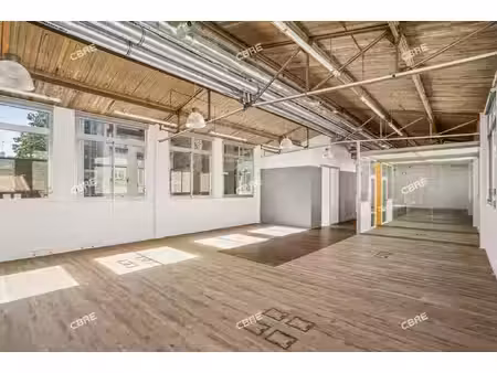 location local professionnel 217m²