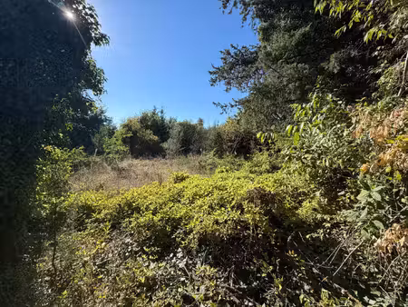 vente terrain 1960 m² laudun-l’ardoise (30290)