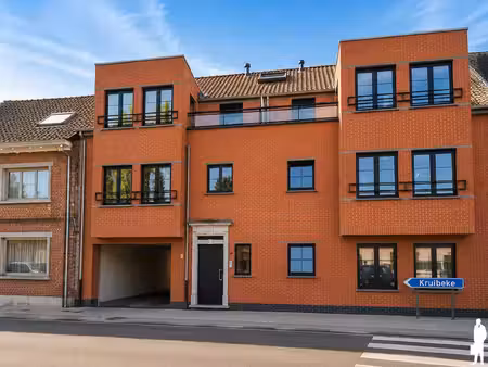 appartement te huur in beveren-kruibeke-zwijndrecht met 1 slaapkamer