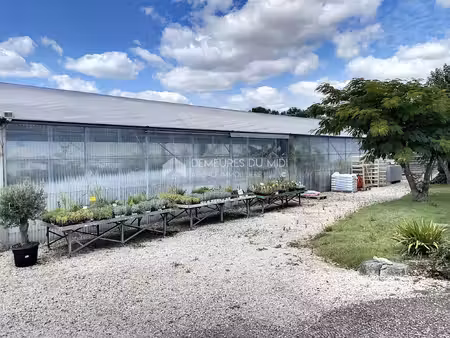 terrain agricole avec une pépinière