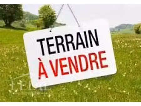 terrain constructible à burg (65)