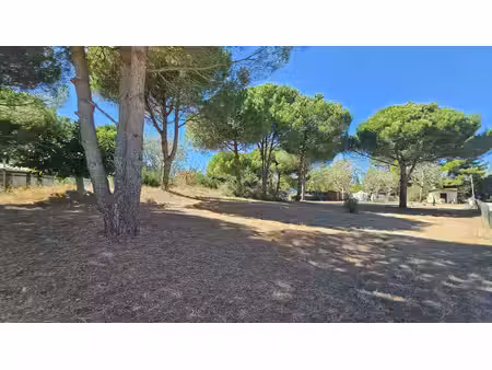 vente terrain 1667 m² vias (34450)