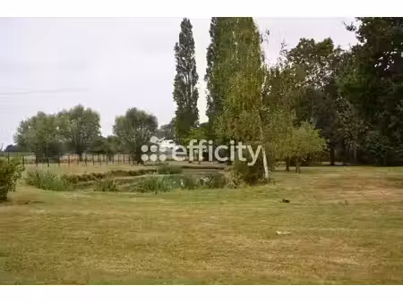 maison 8 pièces - 240 m²