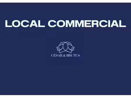 vente commerce villecresnes 94440 862m²