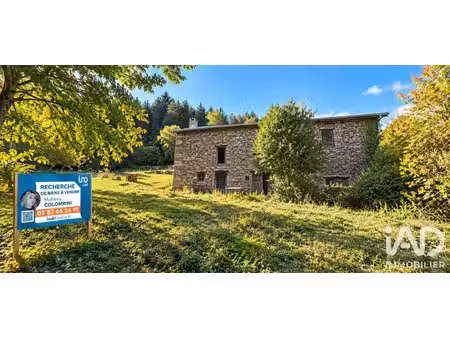 vente maison 2 pièces 200 m² saint-didier-sur-doulon (43440)