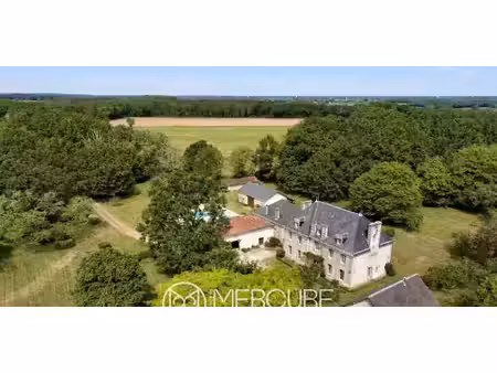 château gençay (86)
