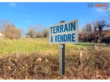 terrain