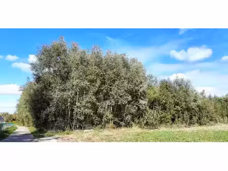 terrain agricole à vendre à saint-georges-sur-meuse pour € 72.500