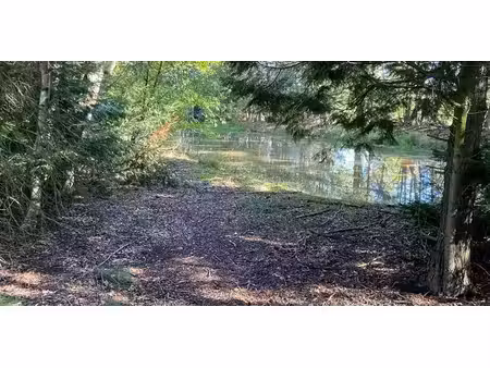 terrain à vendre à hechtel pour € 20.500