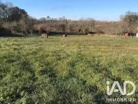 vente terrain à saint-martin-du-bois (33910) : à vendre / 631m² saint-martin-du-bois