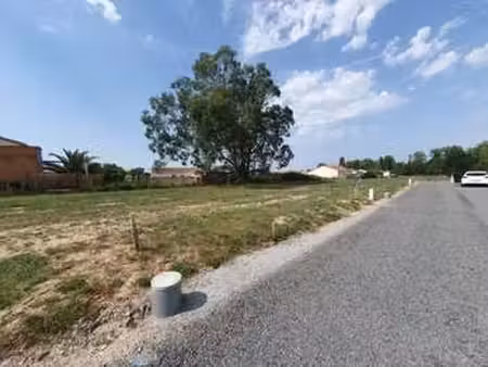 vente terrain à notre-dame-de-riez (85270) : à vendre / 310m² notre-dame-de-riez