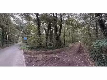 terrain à vendre à hechtel pour € 81.000
