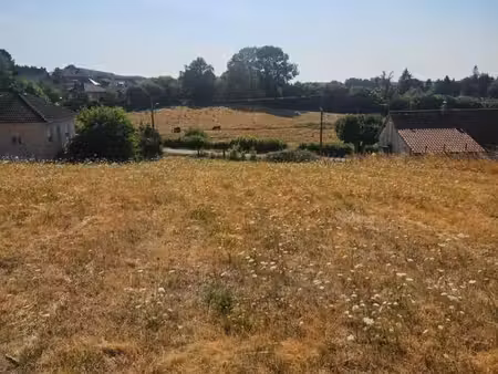 terrain constructible