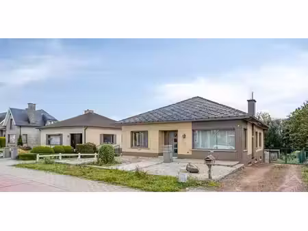 bungalow à vendre à borsbeke pour € 349.000 avec 3 chambres à coucher