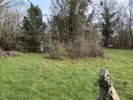 vente terrain à rouans (44640) : à vendre / 3128m² rouans