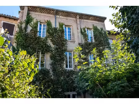 maison en coeur de ville avec jardin arboré