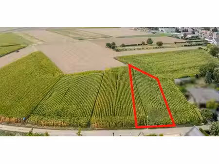perceel grond papenweg