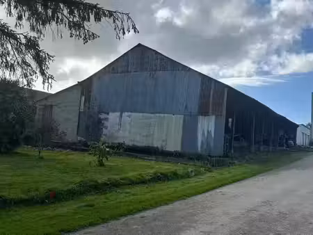 vente commerce 2 pièces 325 m² séglien (56160)